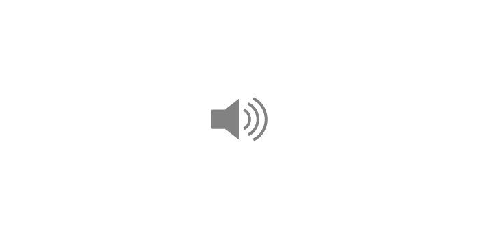 Audio icon